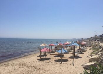 Tunisie : Sauvez les estivants de la banlieue sud de la baignade dans les eaux us&eacute;es
