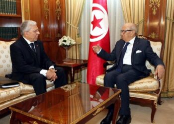 R&eacute;union entre Taieb Baccouche et ses homologues de l'Union Europ&eacute;enne le 14 juillet en Ethiopie