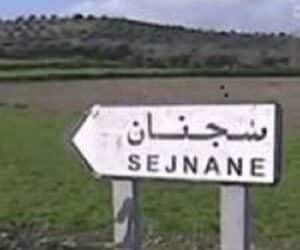 Tunisie : Echange de tirs &agrave; Sejnane, un terroriste abattu