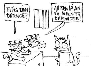 Loi 52 : "Une machine &agrave; broyer la jeunesse"