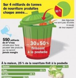 Une application contre la faim dans le monde