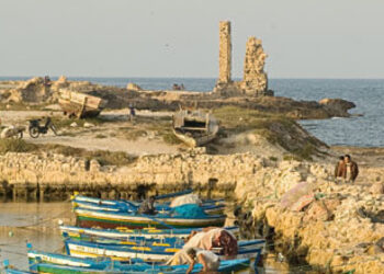 Rêverie devant le port de Mahdia