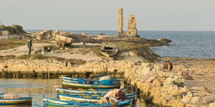 Rêverie devant le port de Mahdia