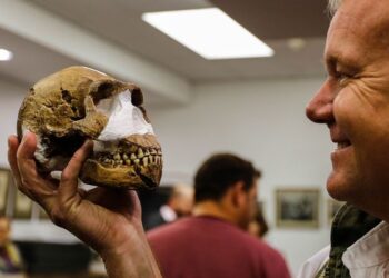 Découverte d’une nouvelle espèce de genre humain en Afrique du Sud