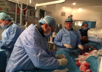Une technique de remplacement de valve cardiaque pour la 1&egrave;re fois en Tunisie et dans toute l'Afrique