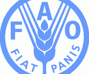 La FAO classe la Tunisie comme le pays d'Afrique du Nord le moins touch&eacute; par la pauvret&eacute;