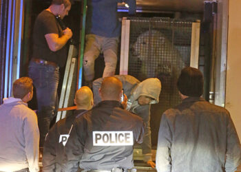 Ils ont eu froid dans le dos : Des migrants embarquent avec un ours polaire !