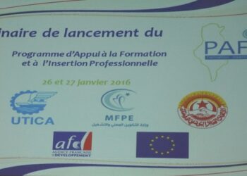 Lancement du programme d'appui &agrave; la formation et &agrave; l'insertion professionnelle