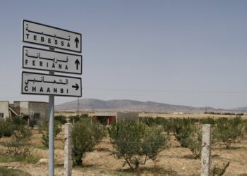 Quand Djebel Chaambi était une colonie de républicains espagnols