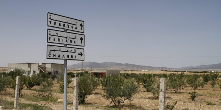 Quand Djebel Chaambi était une colonie de républicains espagnols