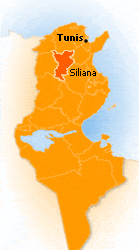 Siliana : Les habitants demandent la protection des autorit&eacute;s contre les terroristes