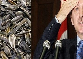B&eacute;ja : Les producteurs de glibettes en veulent &agrave; Erdogan !