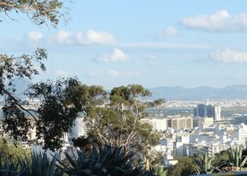 Alerte au Belvédère : Une autoroute à quatre voies pourrait défigurer le parc
