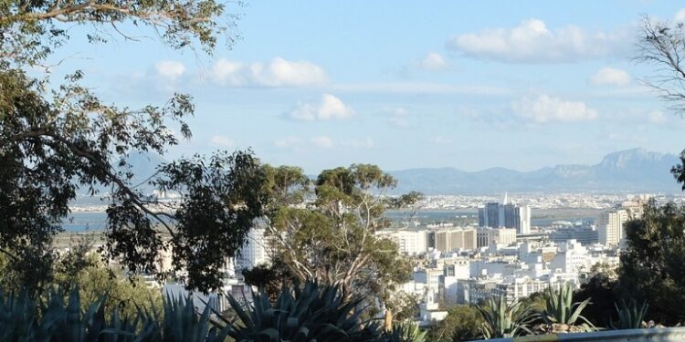 Alerte au Belvédère : Une autoroute à quatre voies pourrait défigurer le parc