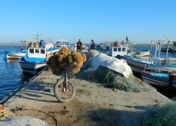 A la pêche aux éponges : A vingt mètres de fond, en apnée...