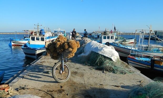 A la pĂȘche aux Ă©ponges : A vingt mĂštres de fond, en apnĂ©e...