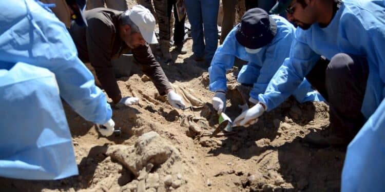 Irak : 50 fosses communes découvertes dans un ancien territoire de Daech
