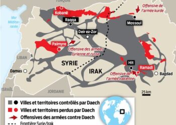 En Irak, Daech a perdu la moitié de ses territoires