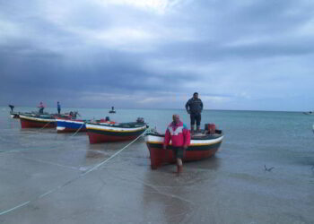 Dans le golfe de Gabès, une pêche miraculeuse...