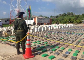 Colombie : Saisie de 8 tonnes de cocaïne, la plus importante dans l'histoire du pays