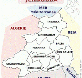 Jendouba aura bient&ocirc;t son centre de maladies canc&eacute;reuses