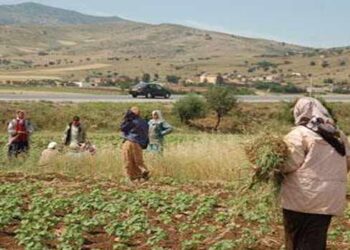 En Tunisie, la femme travaille 7,2 h/jour contre 5,9 h/jour pour l&rsquo;homme