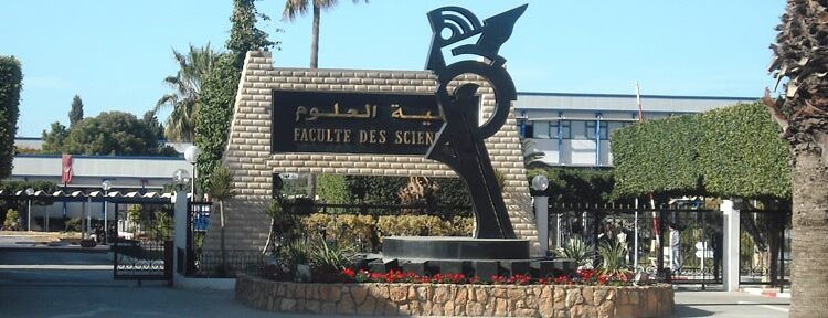 Tunisie : Un &eacute;tudiant tente de voler des produits chimiques pour fabriquer des explosifs