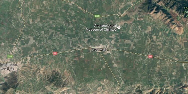 Tunisie : Deux terroristes abattus à Jendouba