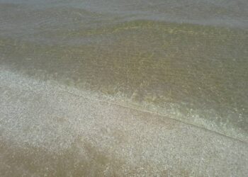 Apr&egrave;s des ann&eacute;es de pollution, la plage d'Hammam-Lif nettement plus propre !