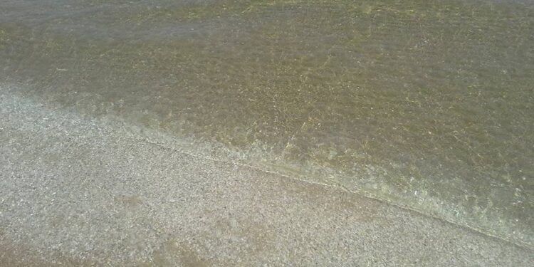 Après des années de pollution, la plage d'Hammam-Lif nettement plus propre !