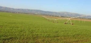 Yassine Brahim dément toute intention de permettre aux investisseurs étrangers de posséder des terres agricoles