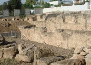 Le nouveau site arch&eacute;ologique de Carthage Dermech accessible fin 2017