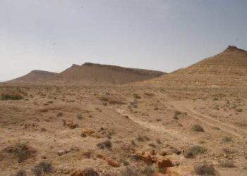 Vers la r&eacute;alisation d'un parc g&eacute;ologique dans le sud tunisien !