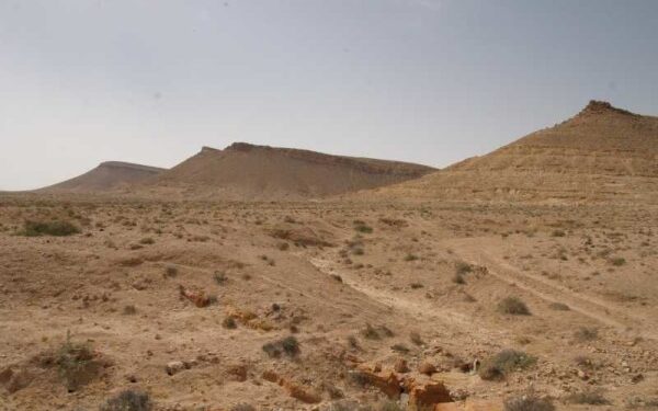 Vers la réalisation d'un parc géologique dans le sud tunisien !