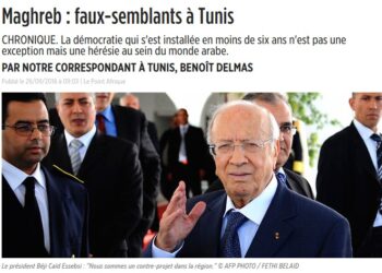 Beno&icirc;t Delmas : "La d&eacute;mocratie tunisienne est une h&eacute;r&eacute;sie au sein du monde arabe"