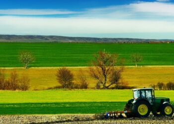 Oliviers, nappes d&rsquo;eau et &eacute;levage&hellip; Ces pluies qui viennent &agrave; temps !