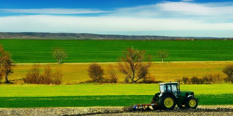 Oliviers, nappes d’eau et élevage… Ces pluies qui viennent à temps !