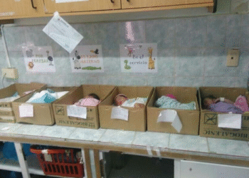 Bébés dans des cartons, animaux dévorés… La situation inquiète au Venezuela