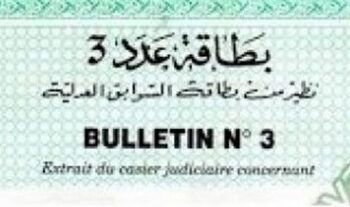 Le Bulletin N&deg;3 d&eacute;sormais disponible en ligne... pour les Tunisiens &agrave; l'&eacute;tranger