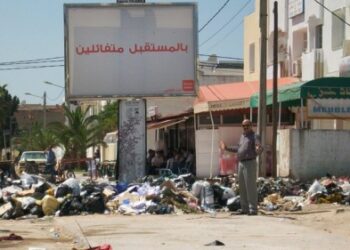 Tunisie : Brigades Vertes