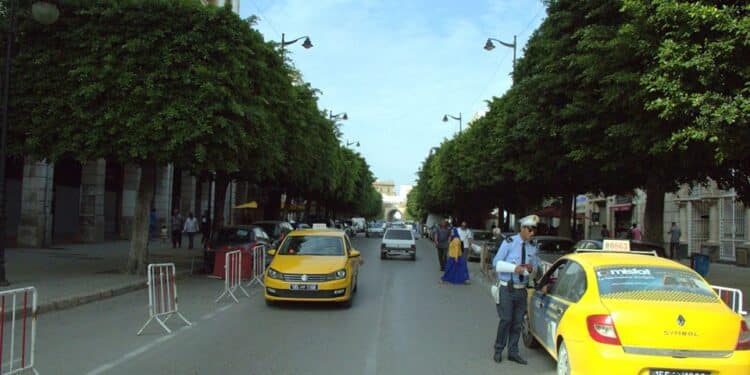 La municipalit&eacute; de Tunis d&eacute;clare la guerre &agrave; l&rsquo;anarchie et aux d&eacute;chets