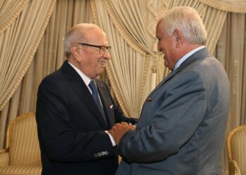 Raffarin : "La France fera tout pour assurer la r&eacute;ussite de la conf&eacute;rence internationale sur l&rsquo;investissement &agrave; Tunis"