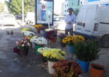Promenade nostalgique en 15 photos au cimetière du Borgel à Tunis