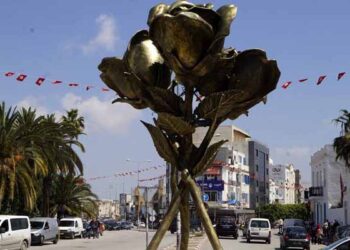 Une petite histoire de l'Ariana