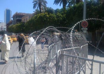 Les internautes au consulat de France : "Lib&eacute;rez nos trottoirs !"
