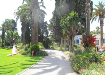La Marsa et ses résidences diplomatiques : Dar Ben Ayed, Al Kamila et les autres...