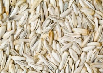 La Tunisie interdit l'importation des "glibettes blanches" turques