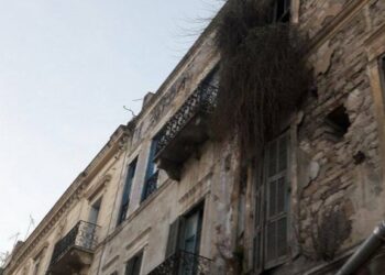 Rue Mongi Slim, une façade d'immeuble où la nature reprend ses droits !