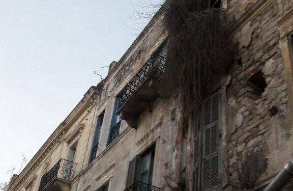 Rue Mongi Slim, une façade d'immeuble où la nature reprend ses droits !