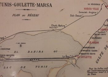 Une petite histoire des origines du TGM